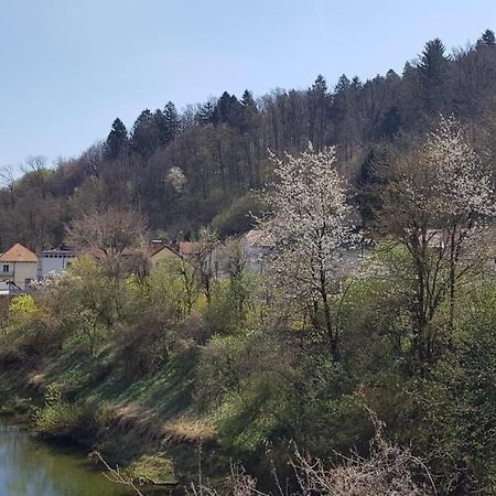 Park Apartment Ljubljana Bagian luar foto