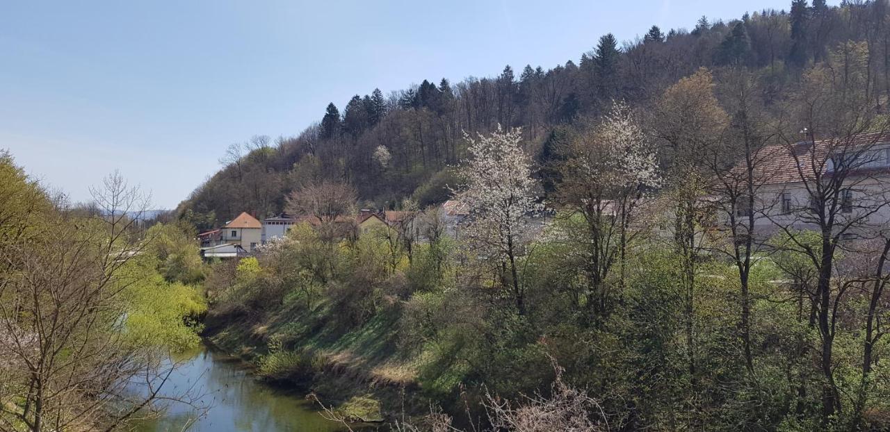 Park Apartment Ljubljana Bagian luar foto